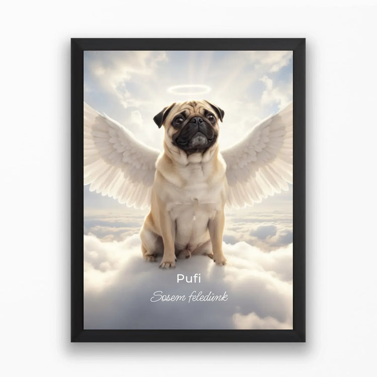 Anjelské portréty domácich miláčikov🪽