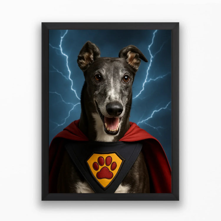 Portréty domácich zvierat: kurzy a ďalšie